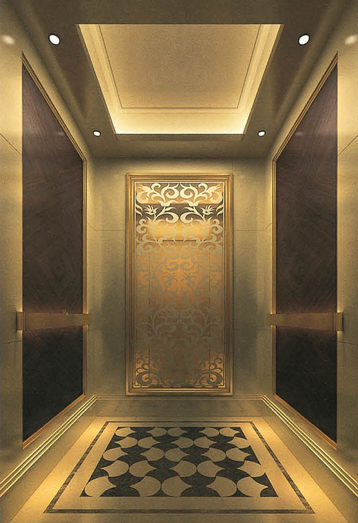 FUJI Passenger Elevator-FJ-PL21