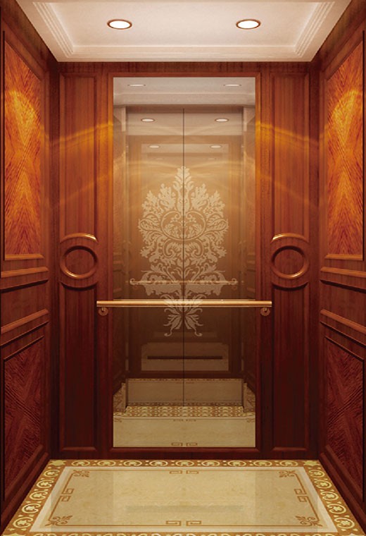 FUJI Home Elevator-FJ-VL10